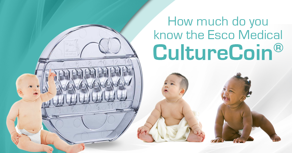 你知道如何使用CultureCoin?培养皿吗？