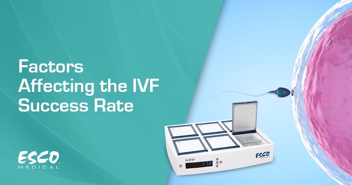 影响体外受精成功率的因素
