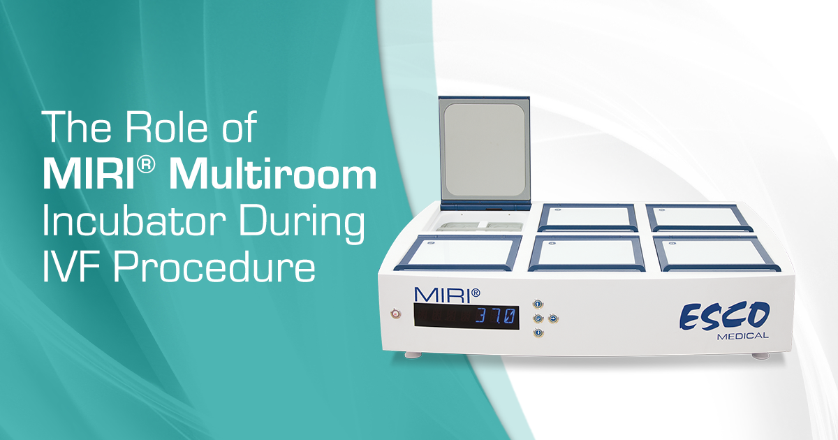MIRI多腔室培养箱在体外受精(IVF)中的作用