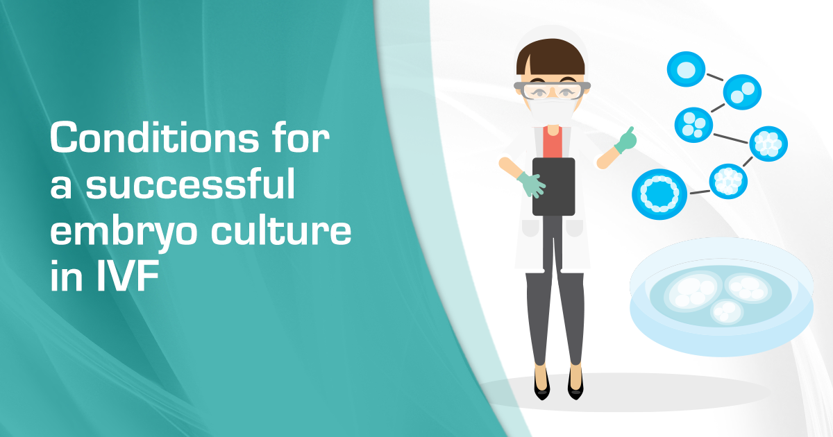 IVF中胚胎培养的条件